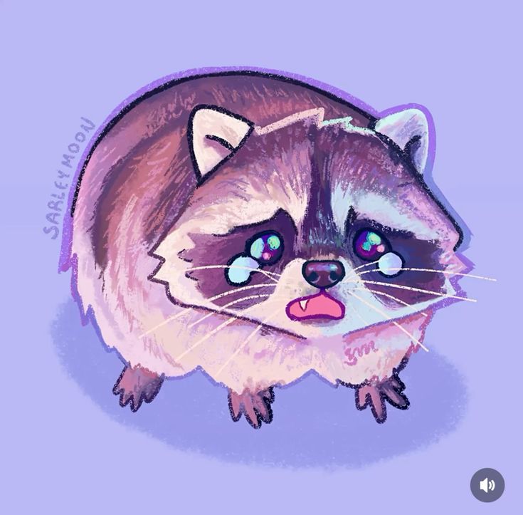 silly raccoons & pandas tweet media