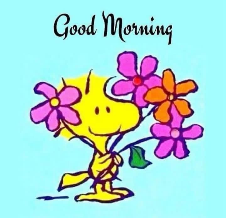 Jany1205 tweet media