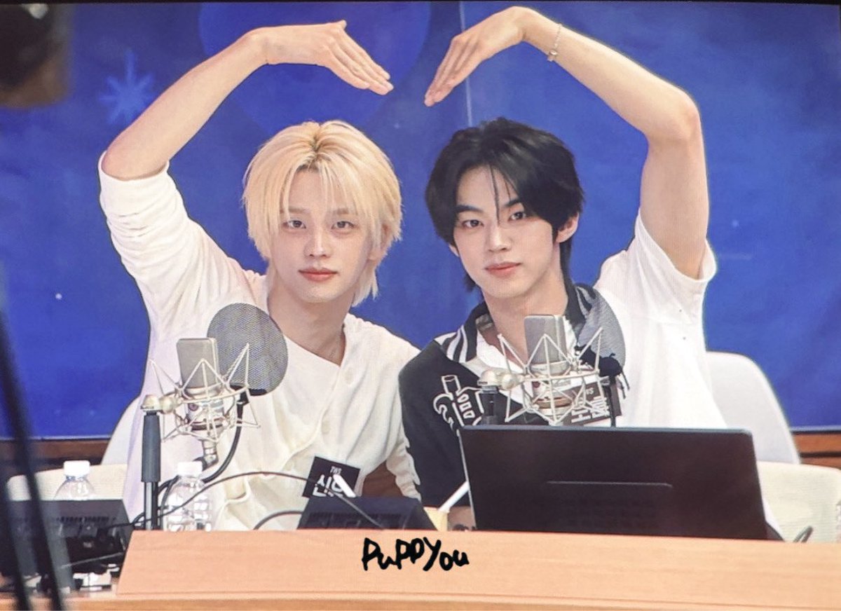 퍼피 tweet media