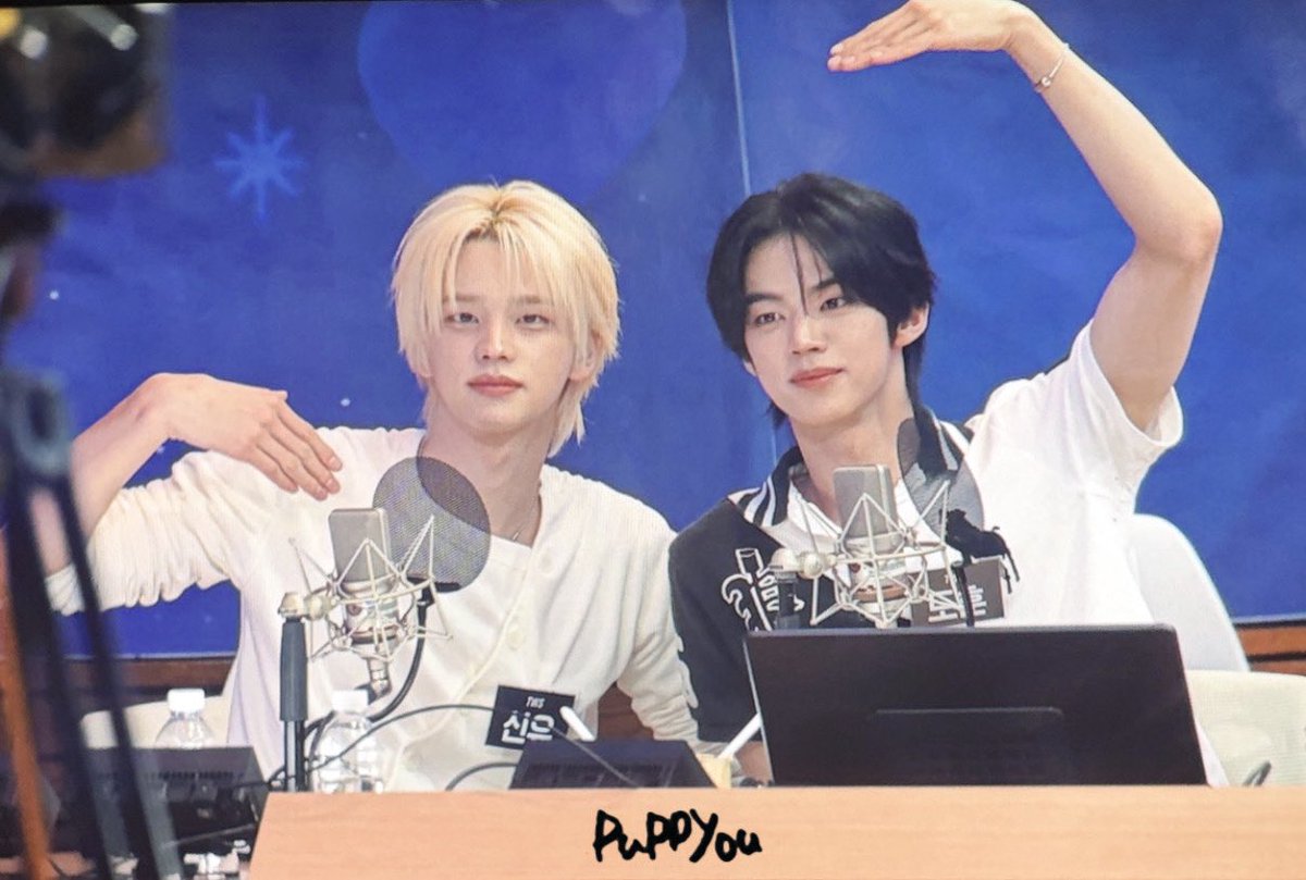 퍼피 tweet media