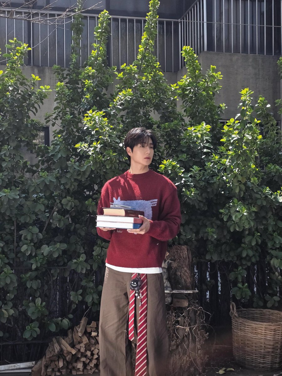 코이 tweet media