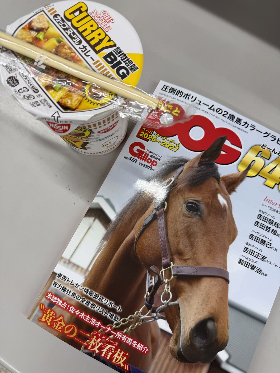 さ、POGの指名馬候補でも探そ🐴📕🍜👀 夜食のお供に…😋 #丸ごとPOG