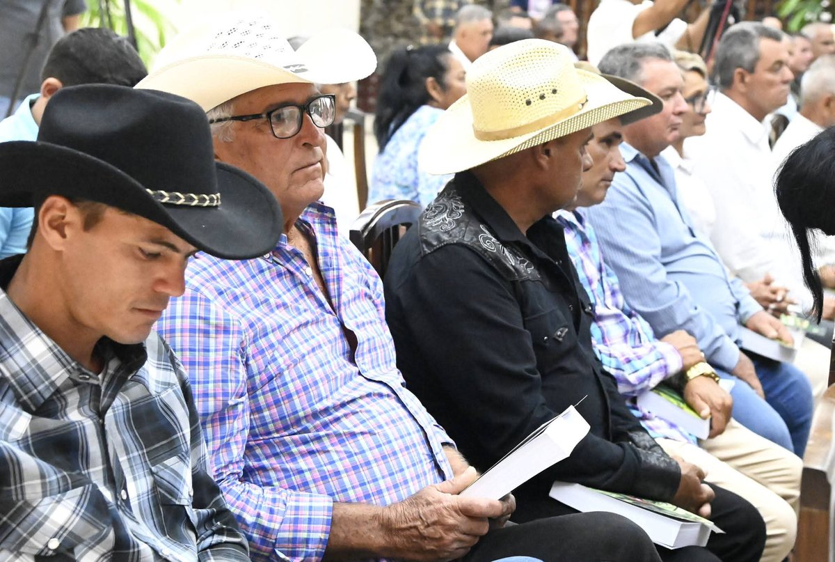 Luis Alberto Ortega Soberón tweet media