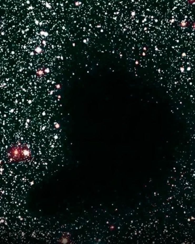 Black Hole tweet media