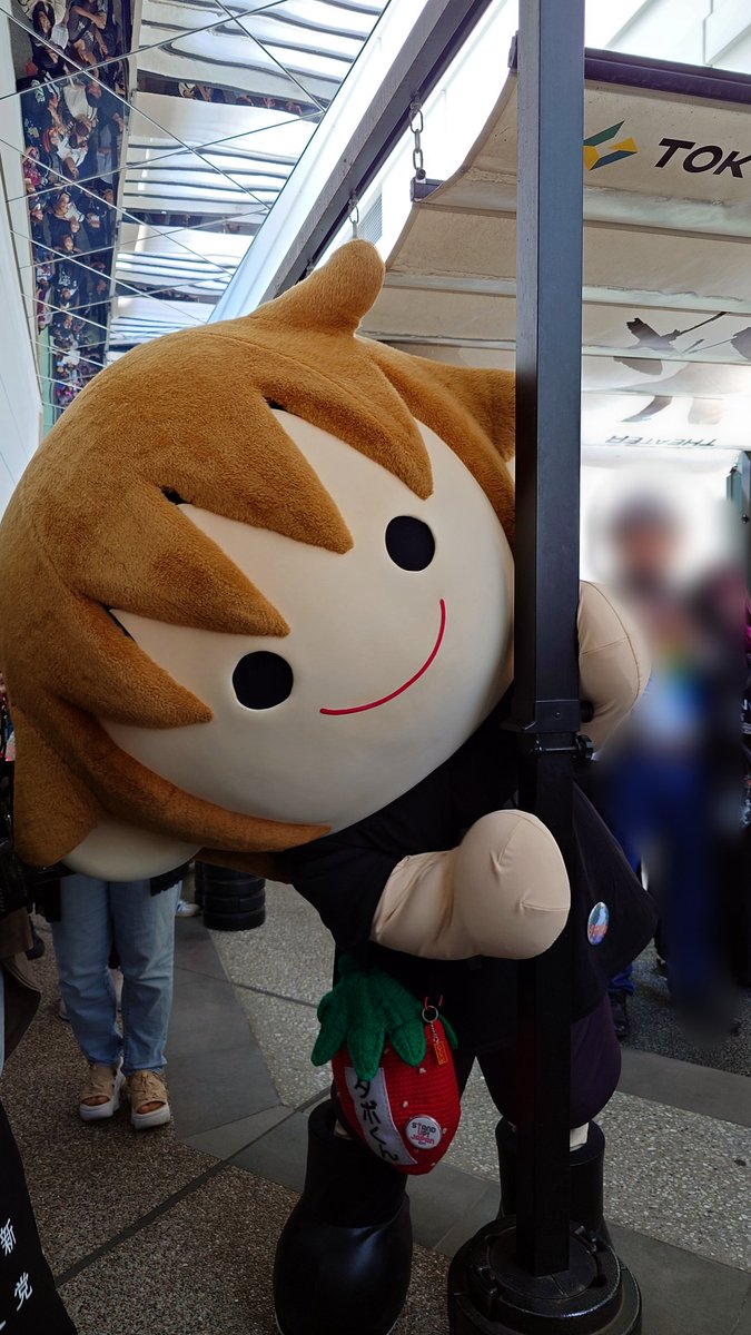 矢野愛果 tweet media