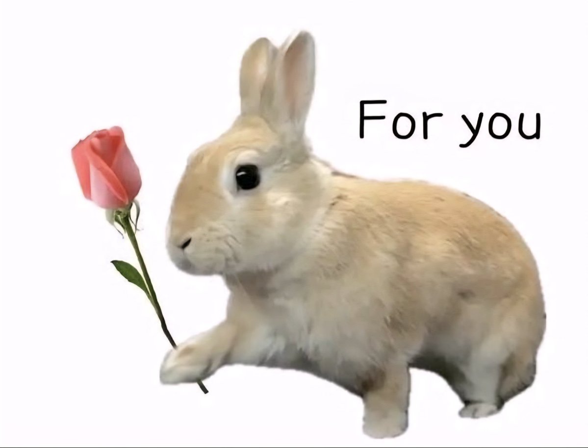 Fwuffybunnybro tweet media