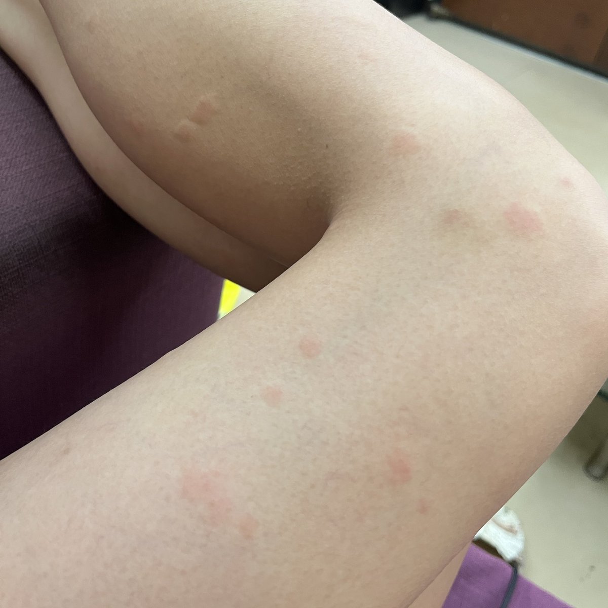 F. tweet media