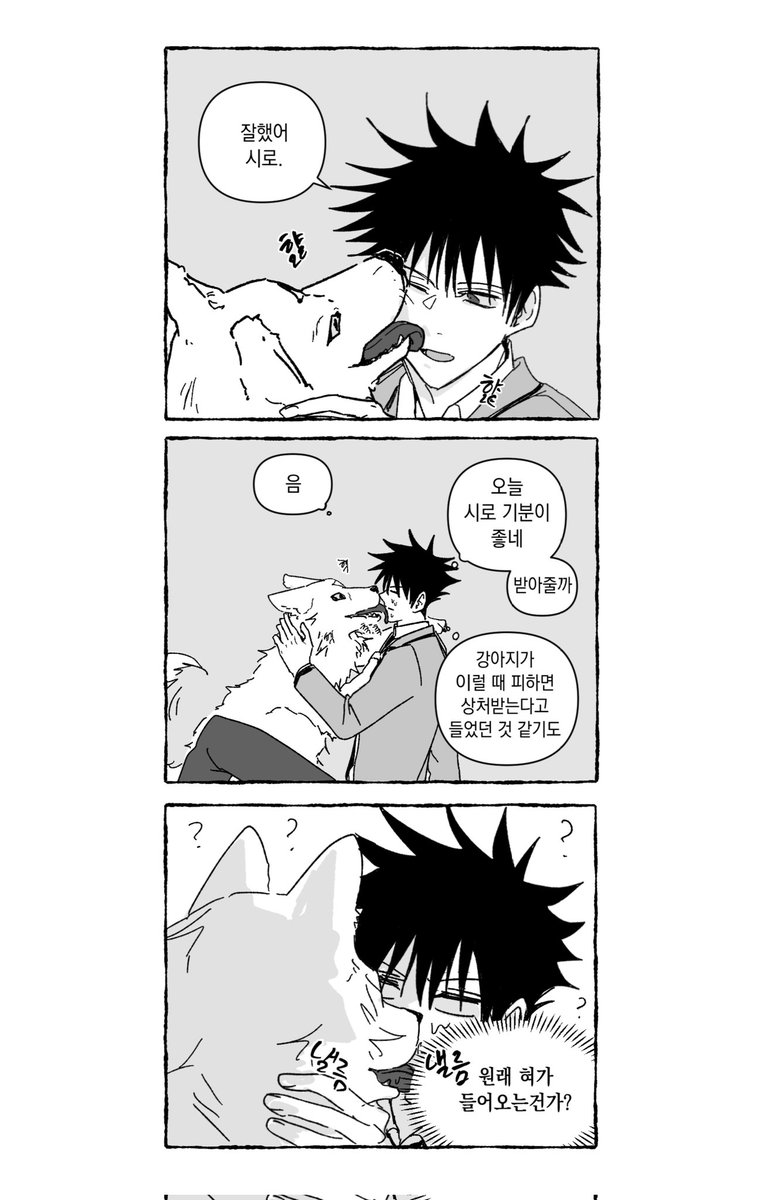 늑구 tweet media