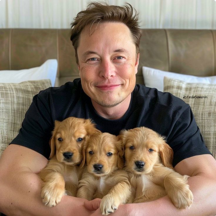 ElonScenario✨ tweet media