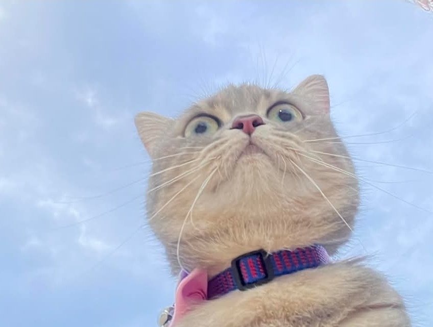 𝐤𝐡𝐮𝐧𝐫𝐚𝐦𝐛𝐨⁰³²⁷ tweet media