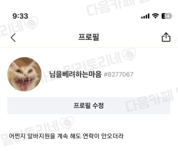랜덤짤 tweet media