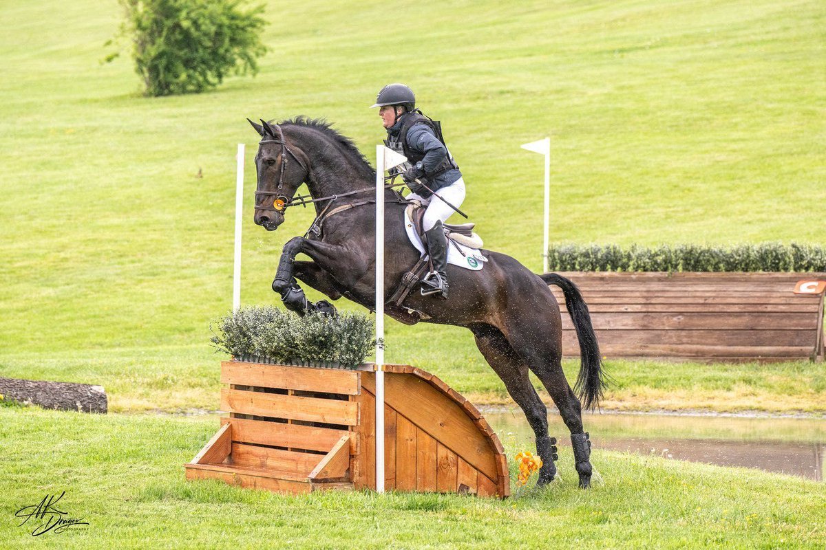 BluegrassAnimal's tweet photo. Jill Thomas Eventing trusts Equiotic to keep her horses feeling and performing their best during the busy competition season PC: AK Dragoo Photography 

#horse #Horses #eventing #animalhealth #horsehealth #probiotics #digestivesupport #guthealth #horsesofX https://t.co/b0KgcZENWA