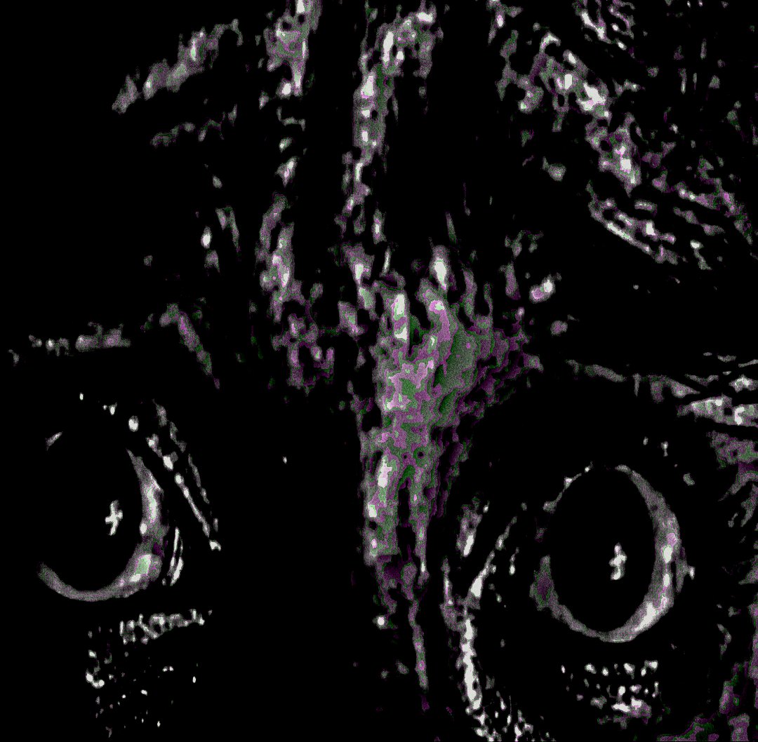 Sigil tweet media