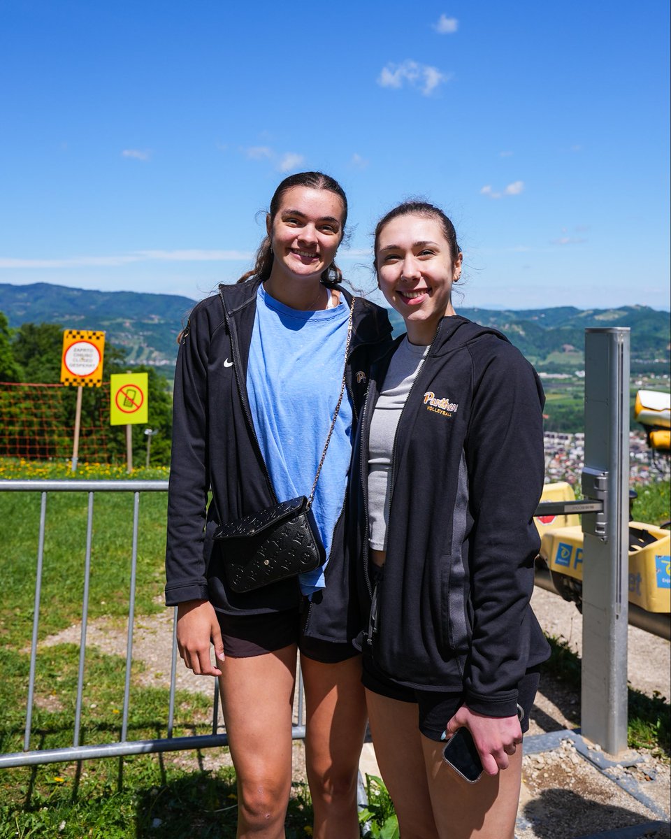 Pitt Volleyball tweet media
