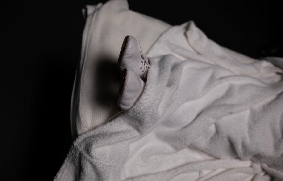 char ꫂ᭪݁ | DFH tweet media