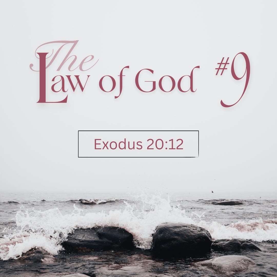 crossroad50072's tweet photo. Exodus 20:12
Pastor Grant Brown
Sermon #9 in the "Law of God" sermon series.
May 10, 2026

https://t.co/sxm5tlxLEo https://t.co/ejS4s7ziU0