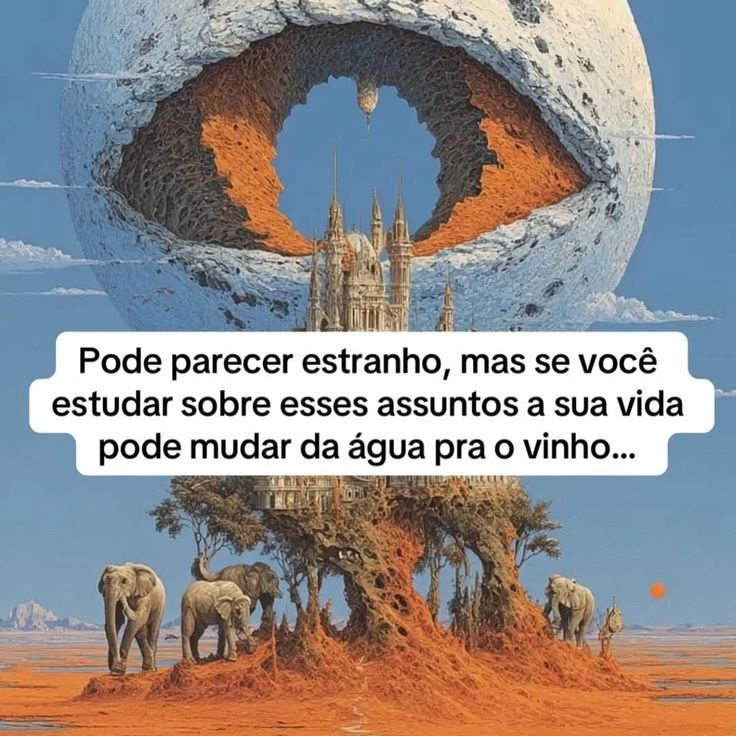 Thefishermanm's tweet photo. Pode parecer estranho, mas se você estudar sobre esses 8 assuntos.

Sua vida mudará da água para o vinho.

🧵 https://t.co/sfcSRfnEfr