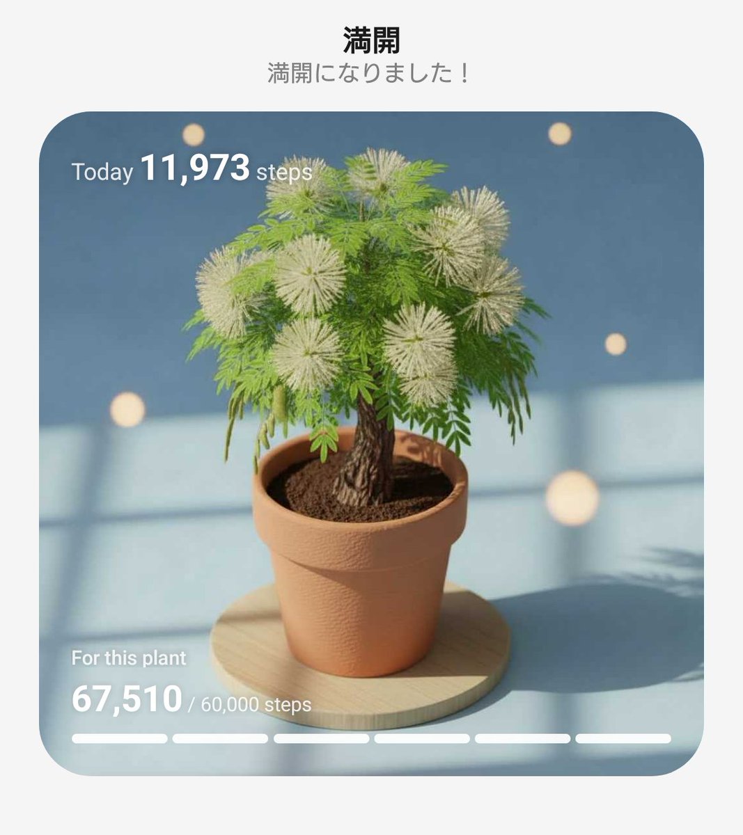 元田中さん⋆* tweet media