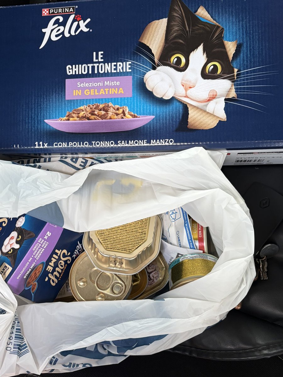 😻I PELOSETTI DEL MARE😻 In ricordo di Zenzero ❤️ tweet media