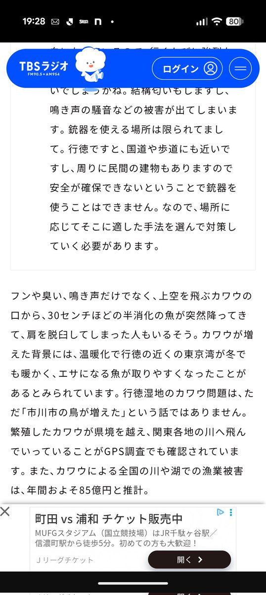 すぎりゅん(あおノフ) tweet media
