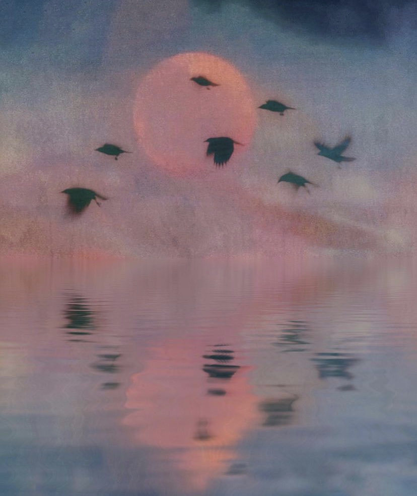 ArtorOtherThing's tweet photo. Twilight Flight - Dave Parsons https://t.co/ZsNcPXH6HZ