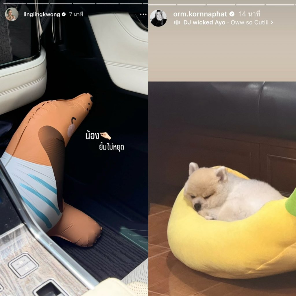 เก้ารัญชน์ tweet media