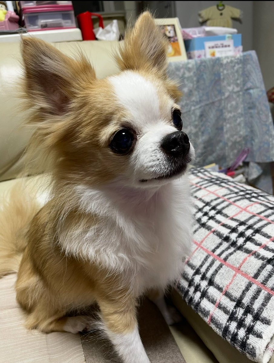 まめ☺︎ tweet media