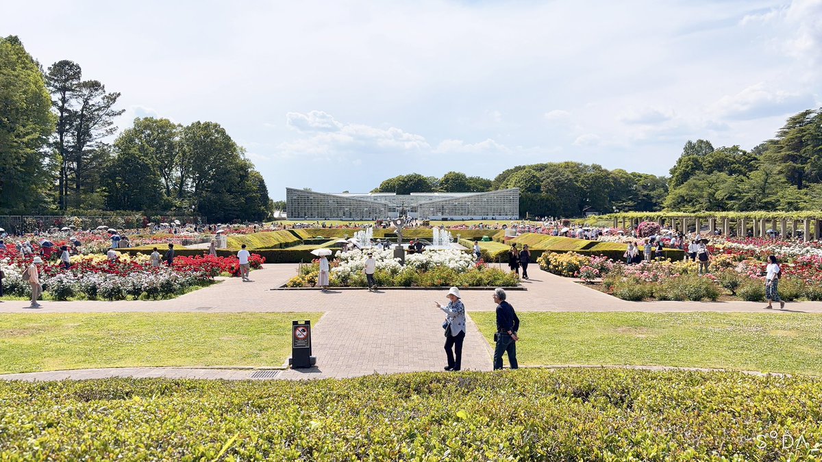 BnfChokko's tweet photo. 深大寺と神代植物公園におでかけ🌿
たまたまバラフェスタやっててどれも綺麗だった🥀✨ https://t.co/uy7tqLwaSW