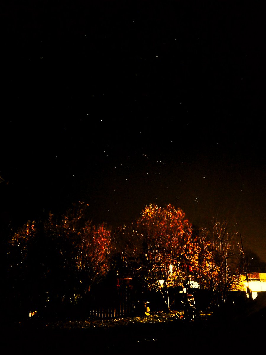 epperezc's tweet photo. #orion  desde #sanramon #temuco #regiondelaaraucania #chile #cielosESA 📷📱 https://t.co/HCGhf606Ib