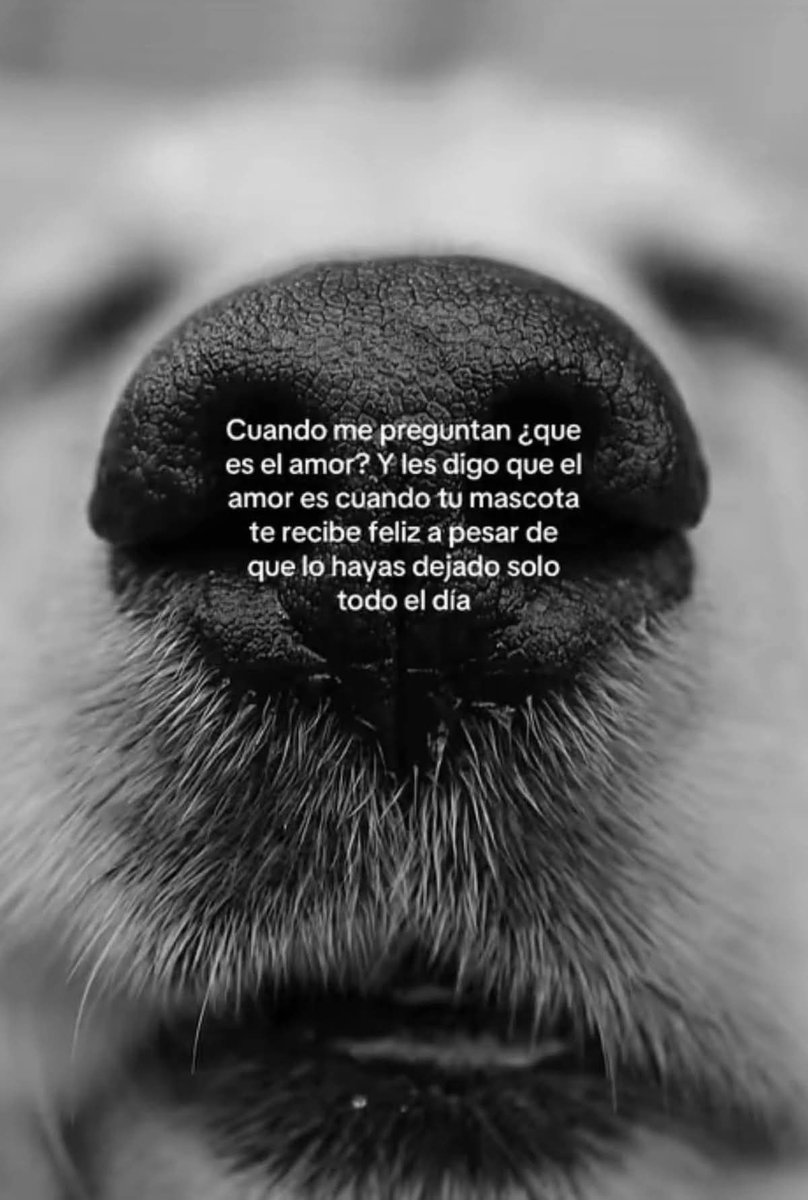 angelo_uf's tweet photo. https://t.co/PcyUGCKm8C