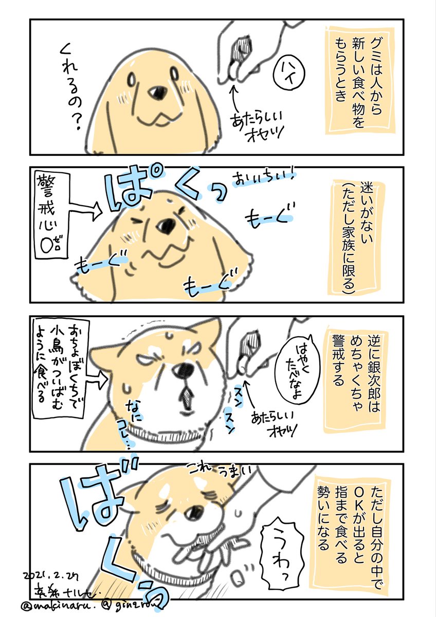 家に犬はもういませんが、愛犬は私の中にずっといます。

#愛犬の日 