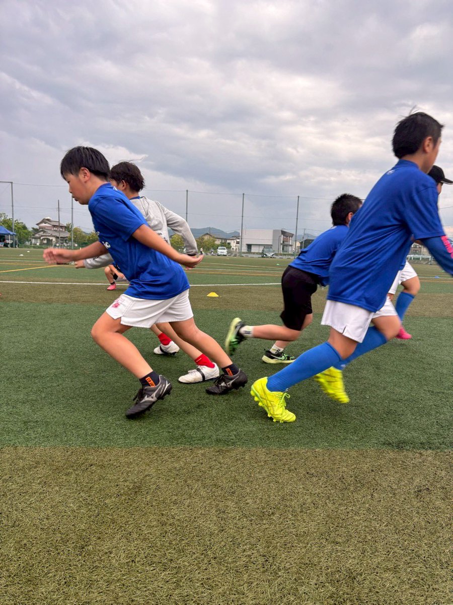 ワイルドナイツスポーツプロモーション tweet media