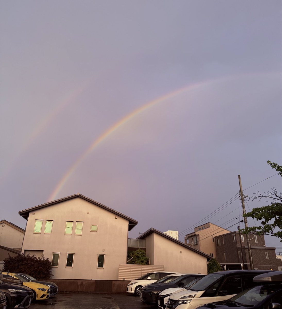 進藤宏希 tweet media