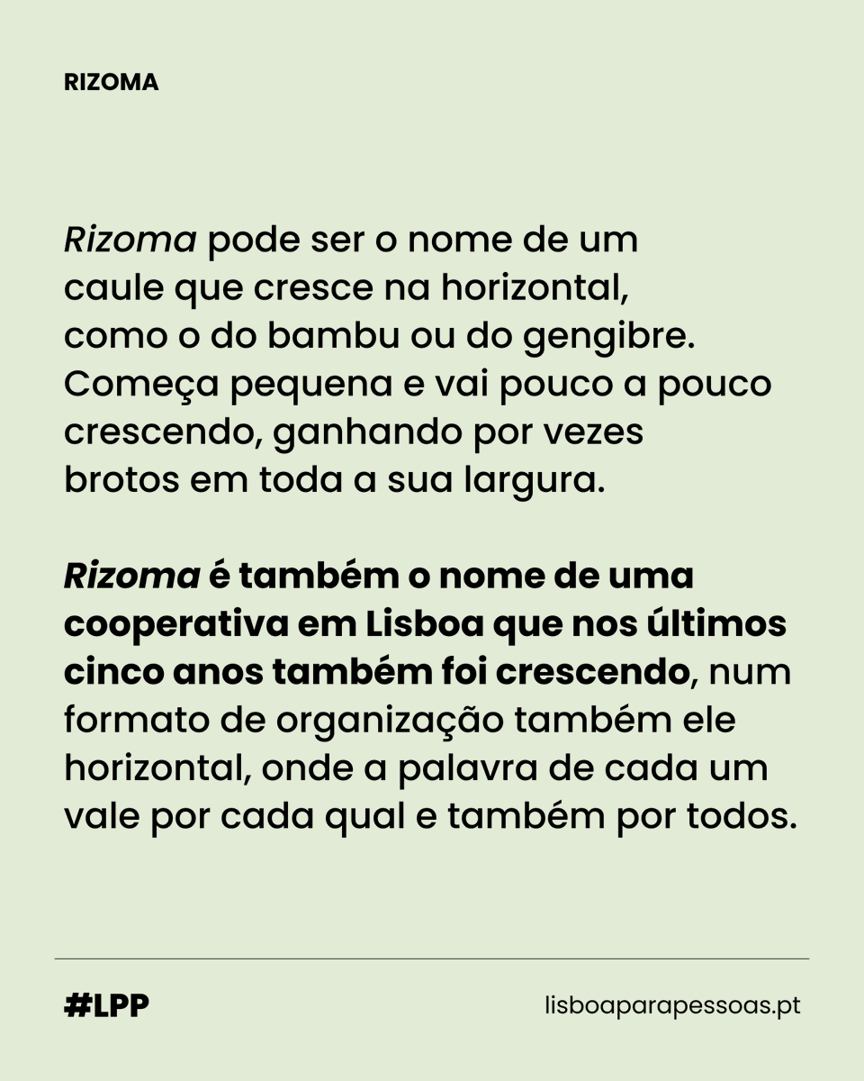 lxparapessoas's tweet photo. Em Arroios, um colectivo constrói uma alternativa ao modelo tradicional de organização social e económica. Entre mercearia, cultura, trabalho e habitação, a Rizoma propõe uma vida partilhada onde cada voz conta.

Lê a reportagem aqui: https://t.co/Txj2iTAM1b

(📸 Mário J. Negrão) https://t.co/XTnLLeUqBI