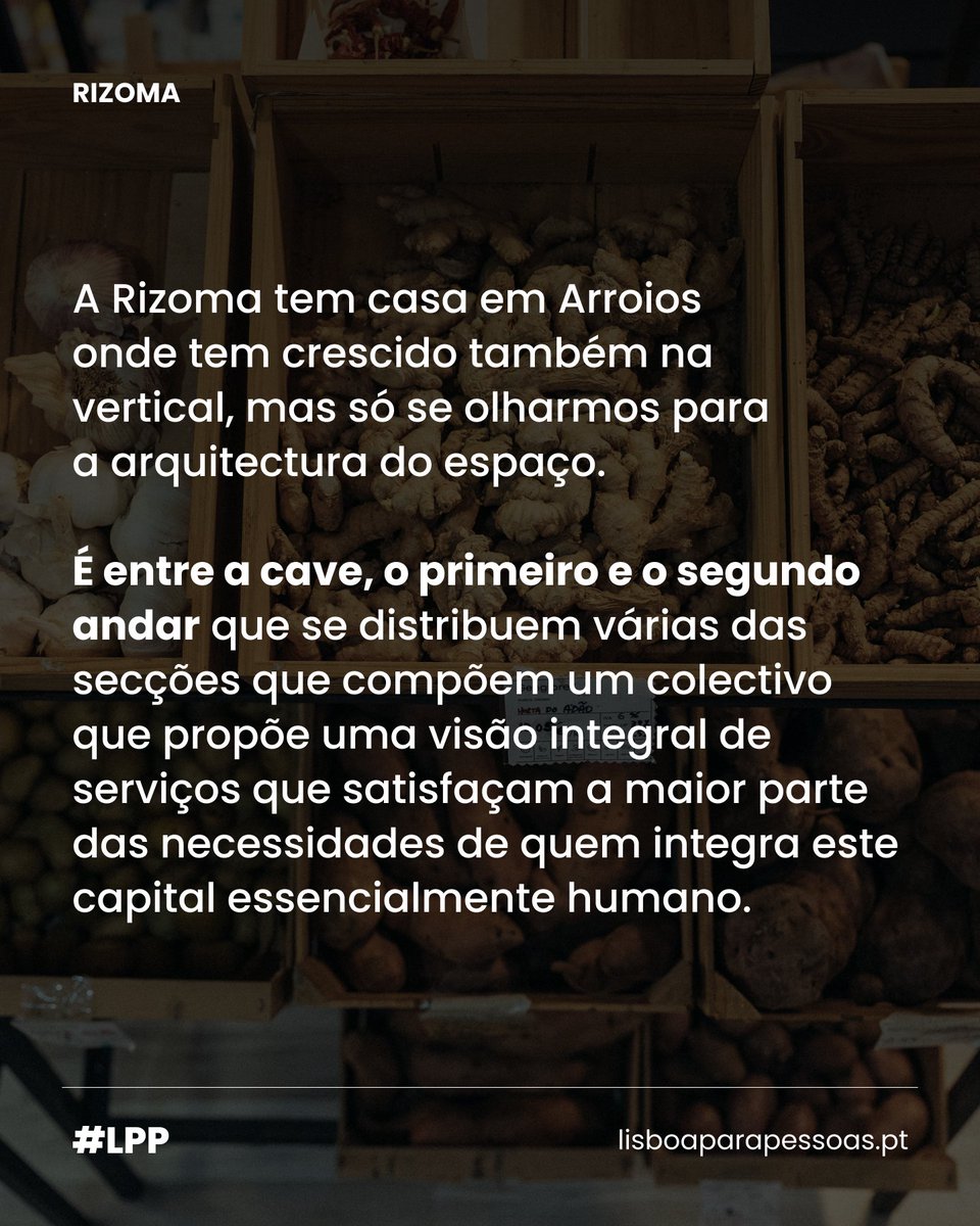 lxparapessoas's tweet photo. Em Arroios, um colectivo constrói uma alternativa ao modelo tradicional de organização social e económica. Entre mercearia, cultura, trabalho e habitação, a Rizoma propõe uma vida partilhada onde cada voz conta.

Lê a reportagem aqui: https://t.co/Txj2iTAM1b

(📸 Mário J. Negrão) https://t.co/XTnLLeUqBI