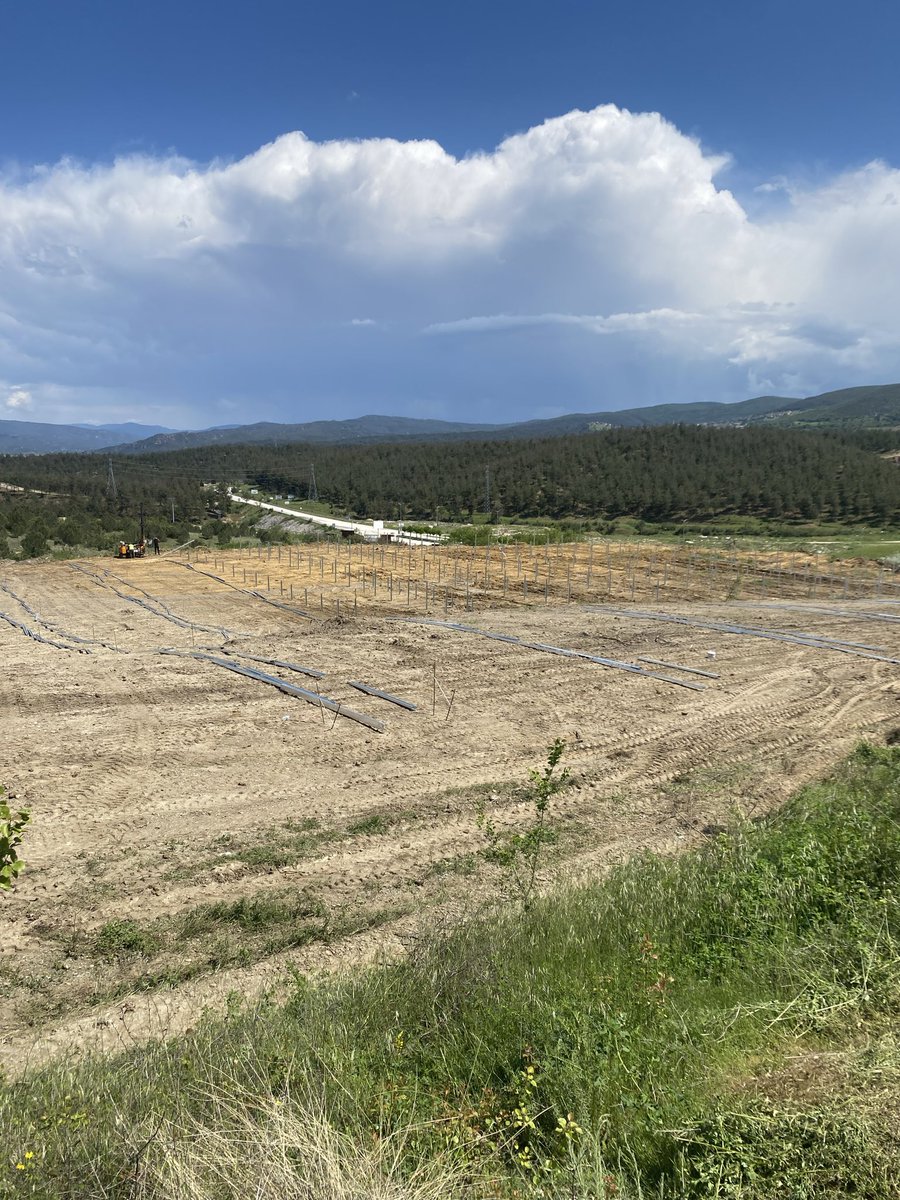 Berberden Borsa tweet media