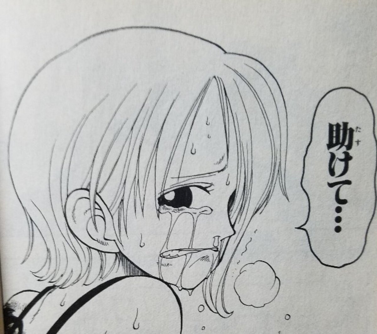 ぷろとん(BIGCAT) tweet media