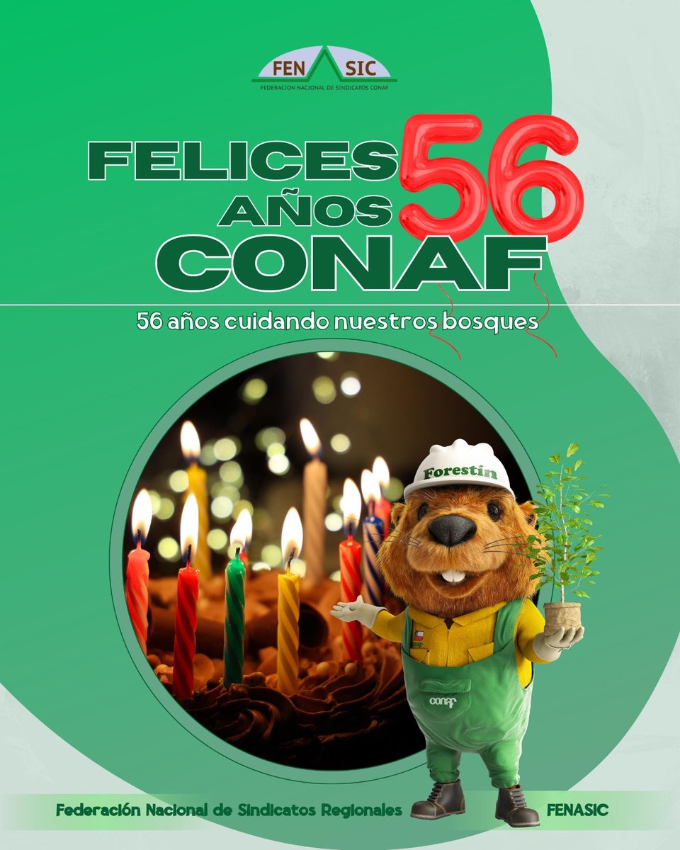 Federación de Sindicatos Nacional CONAF tweet media
