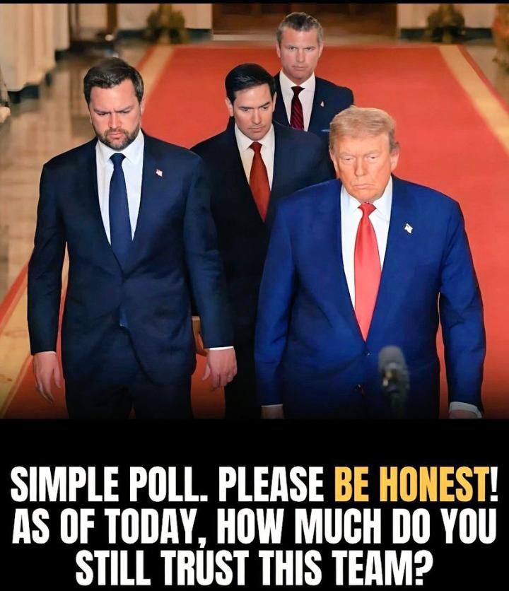 MAGA NEWS tweet media