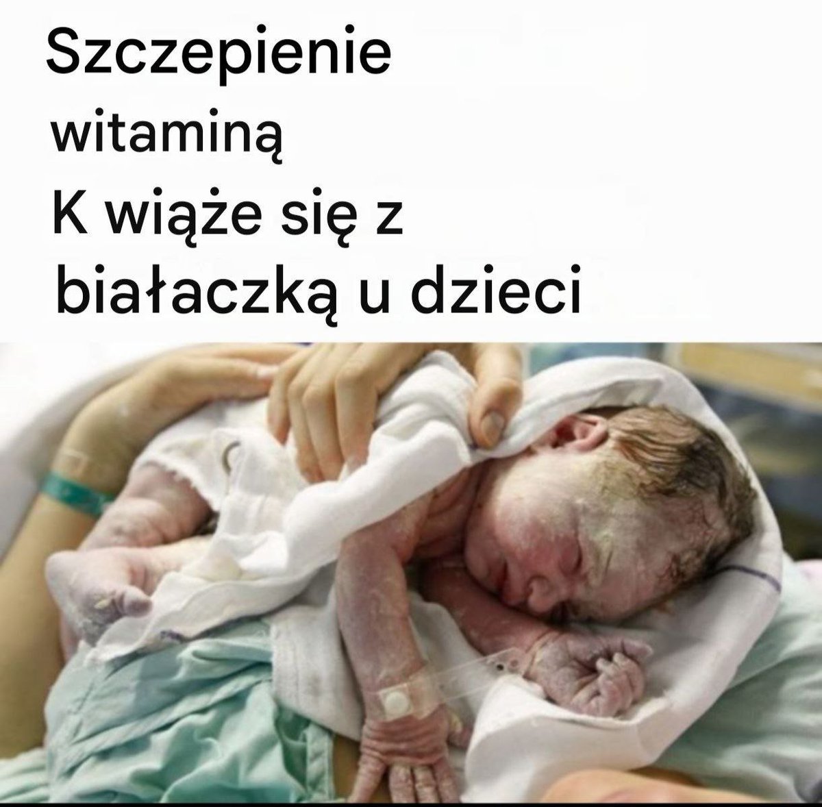 Małgorzata tweet media