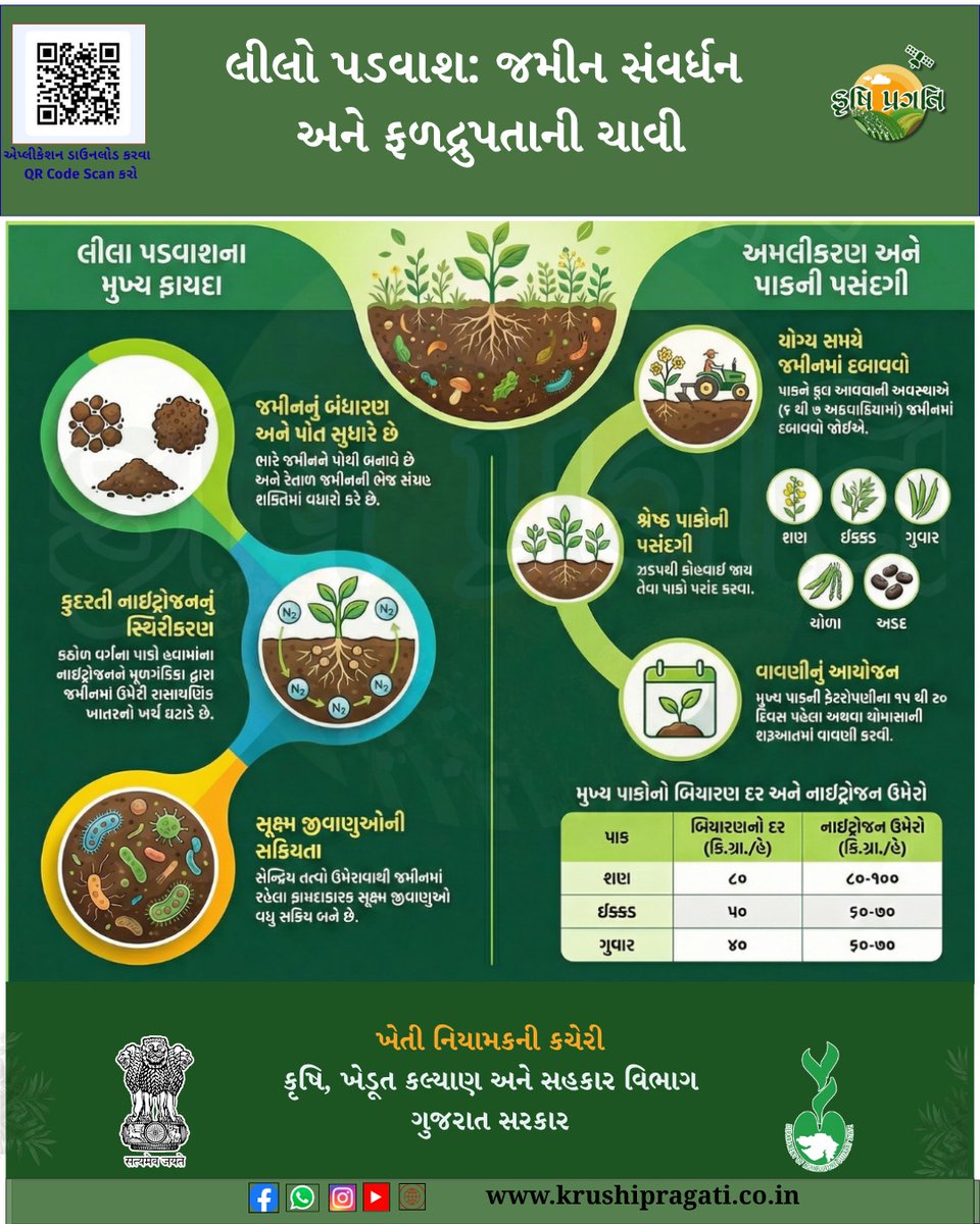 daosurendrangar's tweet photo. લીલો પડવાશ: જમીન સંવર્ધન અને ફળદ્રુપતાની ચાવી #farmar @InfoGujarat @AgriGoI  @PMOIndia @CMOGuj https://t.co/cOPYunY8H7