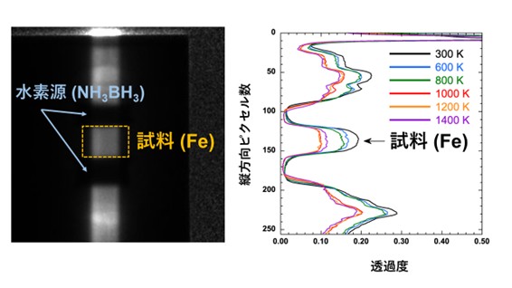 J_PARC's tweet photo. 【プレスリリース】
地球の外核に大量の水素が存在する可能性
- 世界初、液体鉄中の水素量をその場観察で直接決定 -
https://t.co/Ir3syb8IsY
DOI🔽
https://t.co/1HXcu4xQu5 https://t.co/2yxhsuMOIw