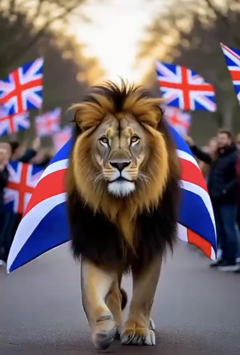UNITE THE KINGDOM - $UTK tweet media