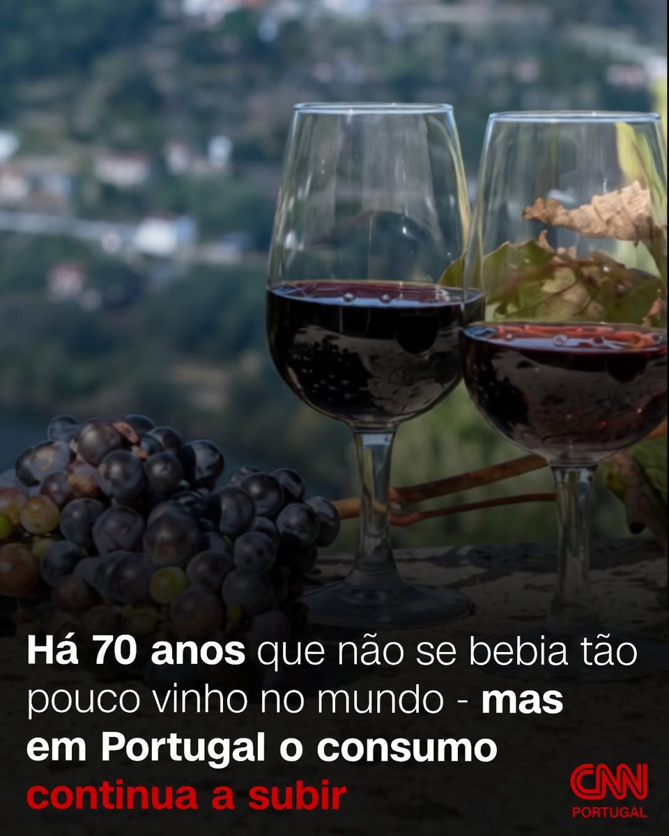 LusoBoy tweet media