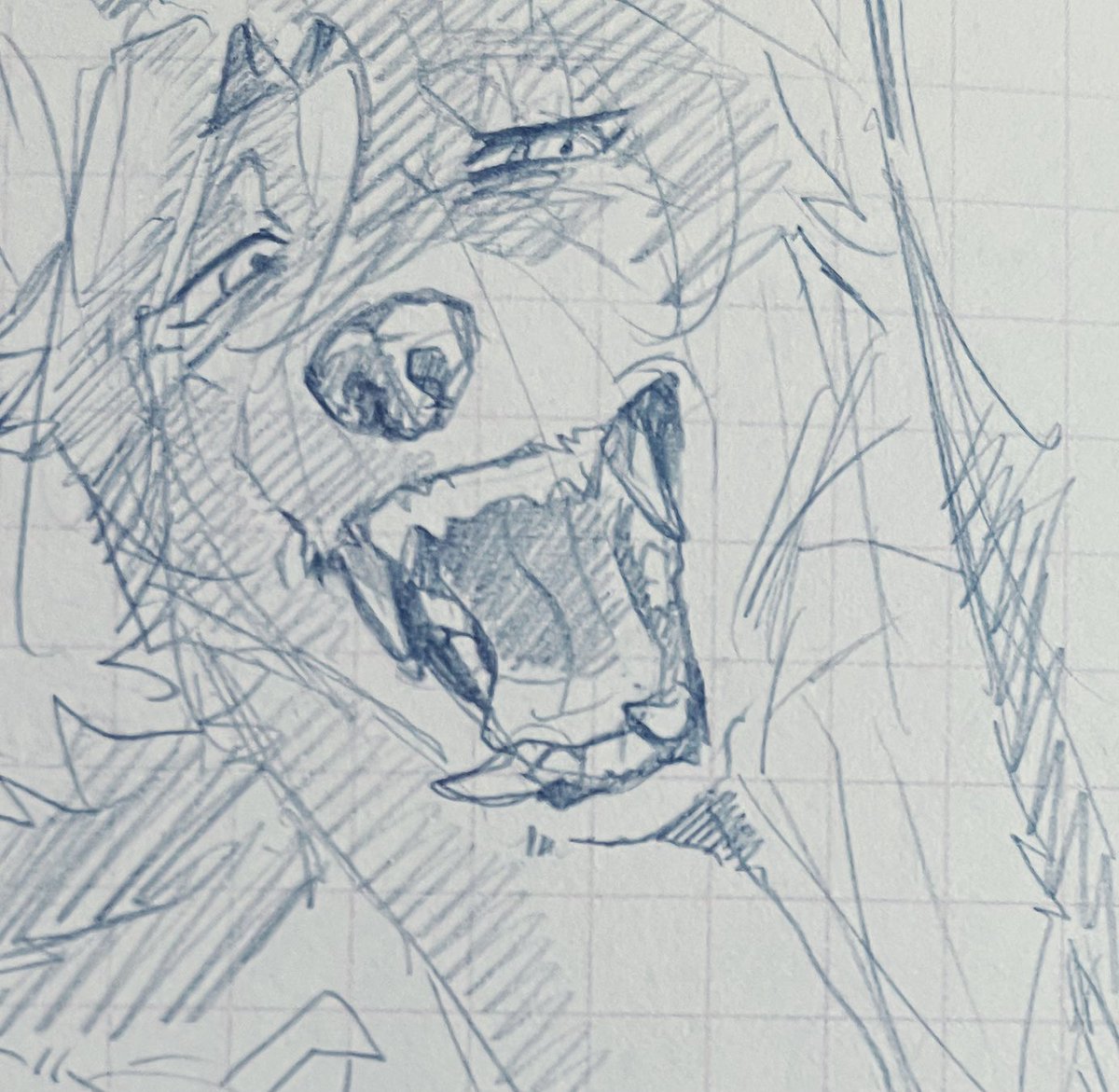 hutatyo's tweet photo. https://t.co/EjD5zI9yPe