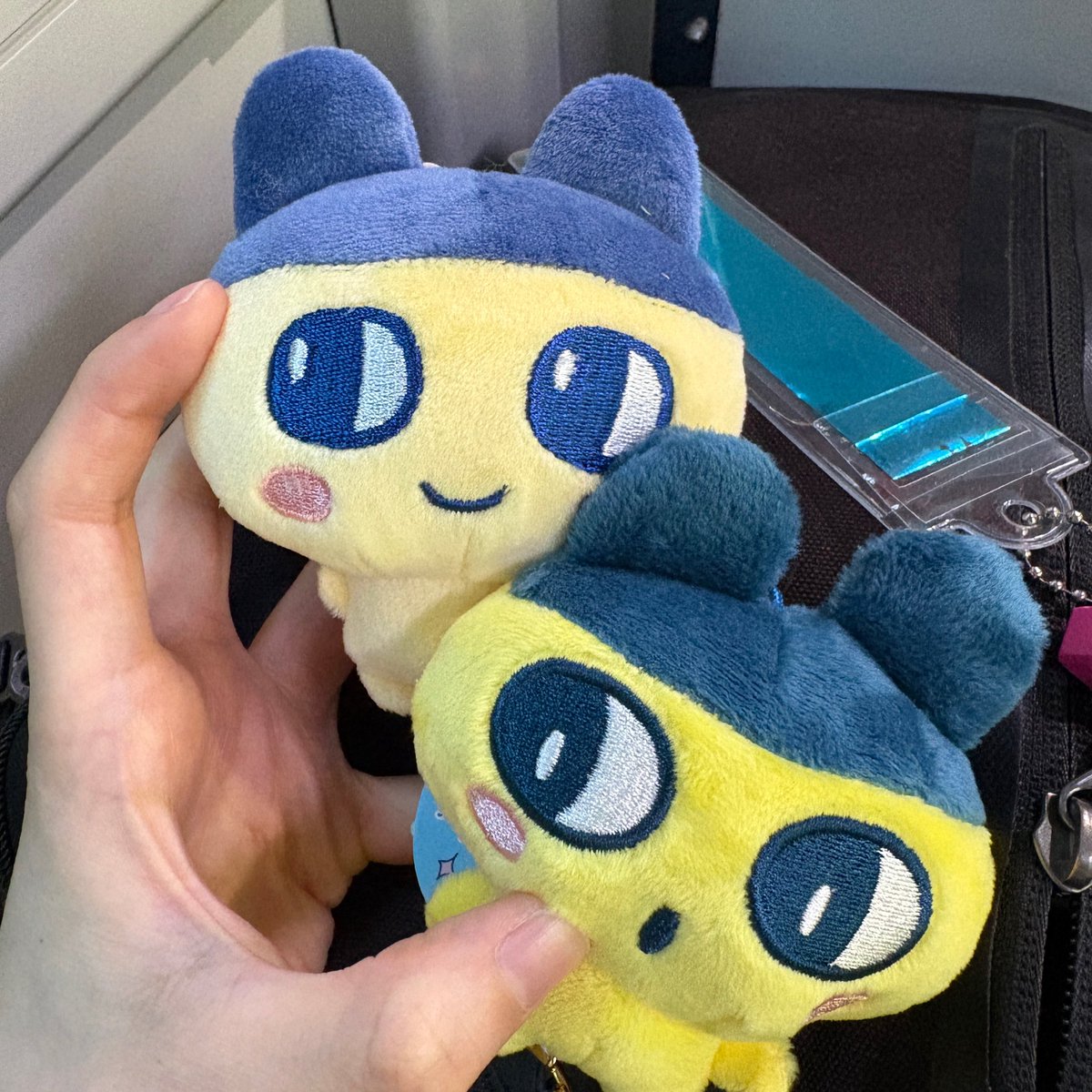チ！🐧 tweet media