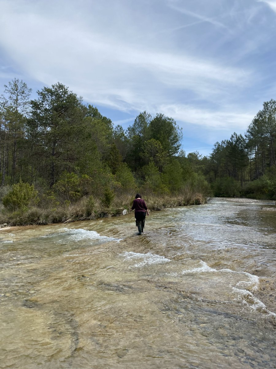 assoc_habitats's tweet photo. Finalitzem la temporada formativa amb un total de 46 persones formades en inspecció de rius 💥.
Compartim amb vosaltres algunes imatges de les activitats dutes a terme a Castellar de la Ribera, Santa Coloma de Gramenet i a Esponellà 🌞.
#ProjecteRius https://t.co/58LODcBxWn