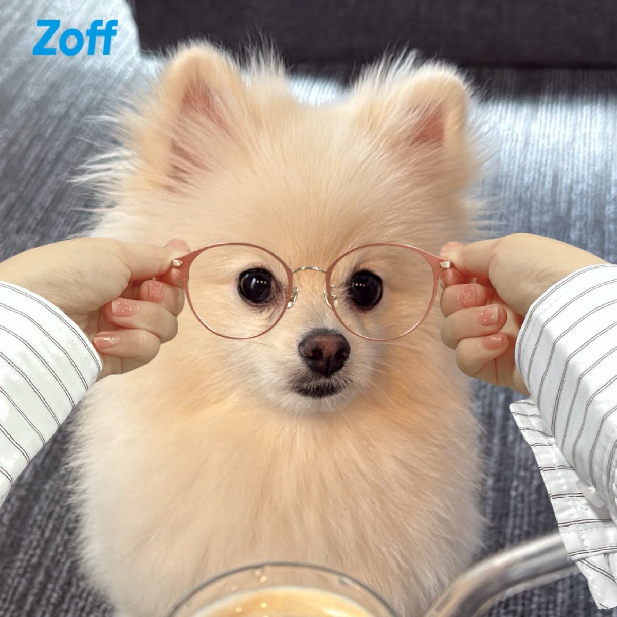 tkhsna's tweet photo. @Zoff_INFO 🐻‍❄️👓💗 https://t.co/6JcTWLlFwO