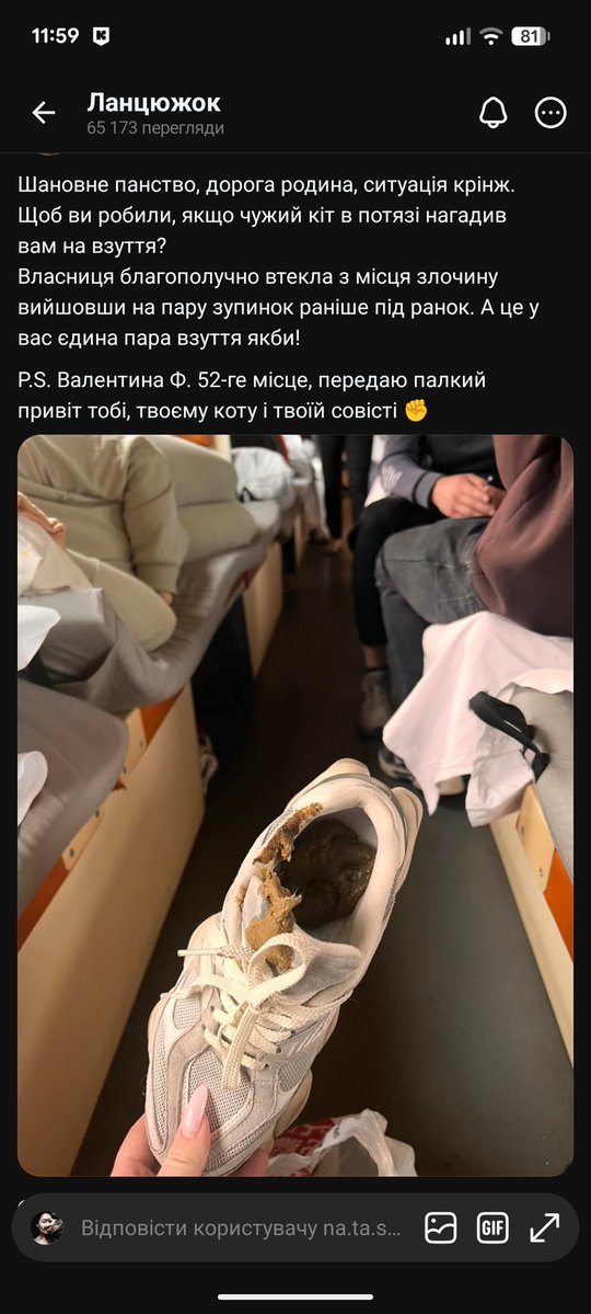 Ксенія Павлівна tweet media