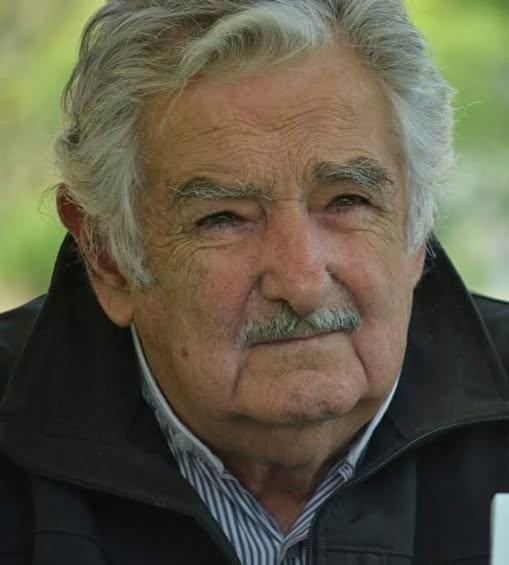 pier luigi pinna tweet media